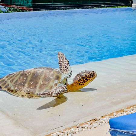 Villa Del Pescador Ζιουατανέχο Εξωτερικό φωτογραφία